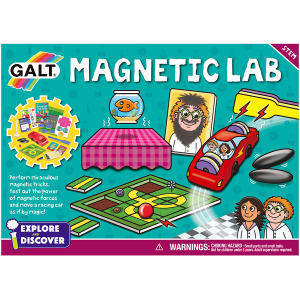 Magnetic Lab (2D Box)